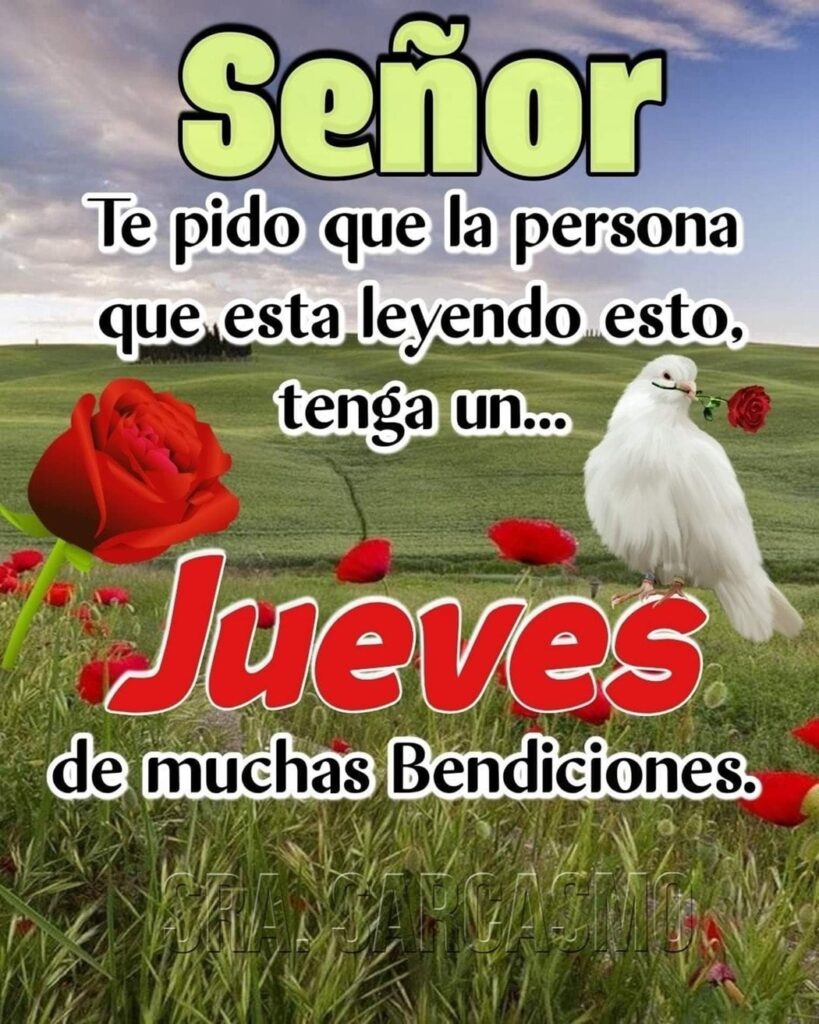 Señor, Te pido que la persona que esta letendo esto, tenga un... Jueves de muchas Bendiciones