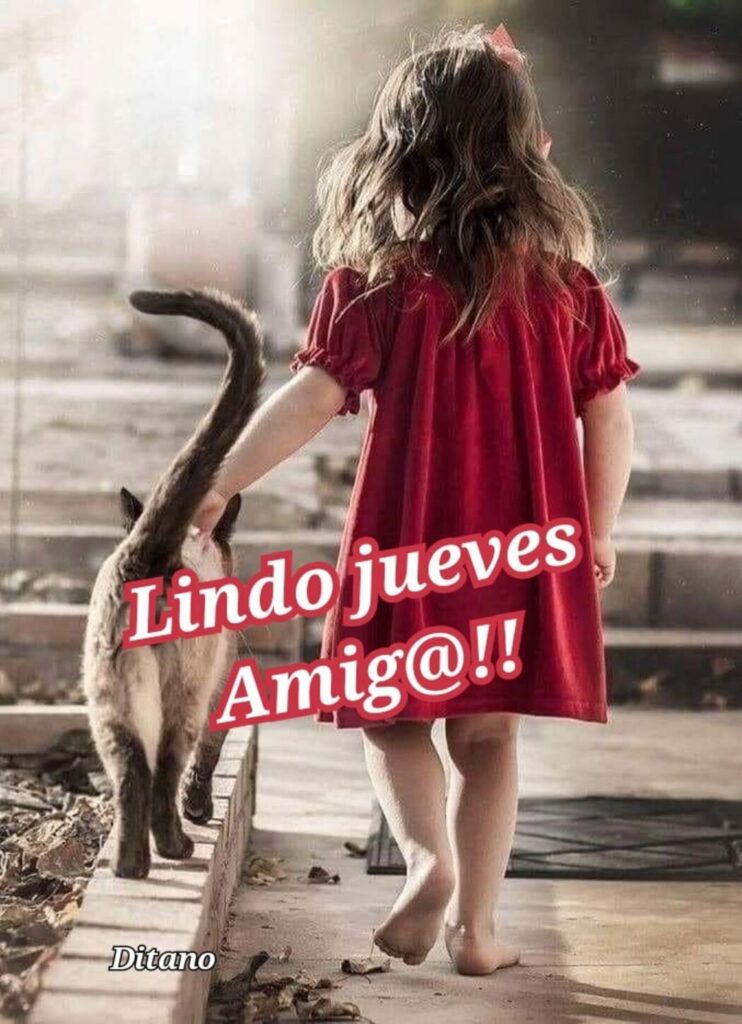 Lindo jueves amig@!!