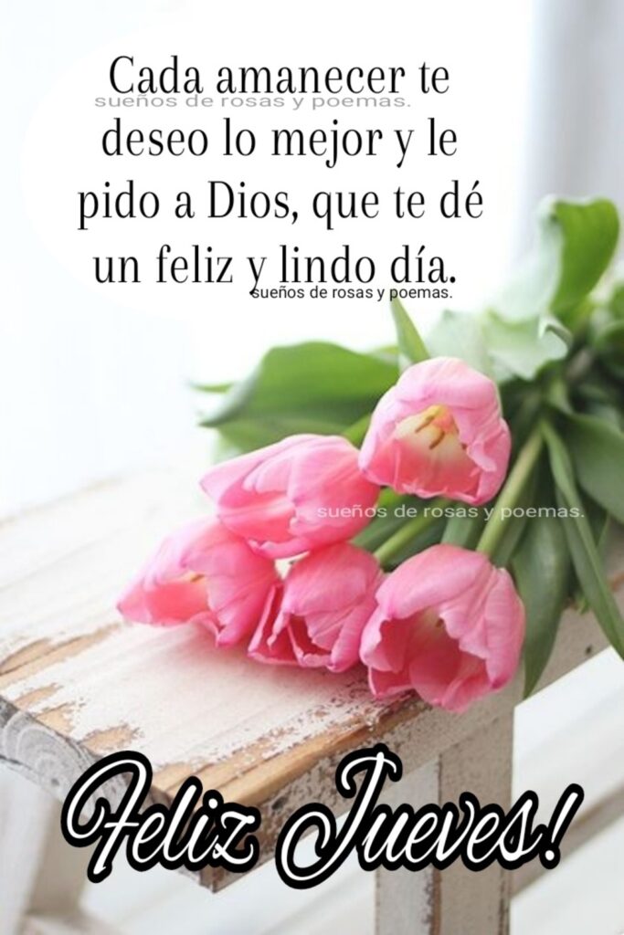 Cada amanecer te deseo li mejor y le pido a Dios, que te dé un feliz y lindo día. Feliz Jueces!