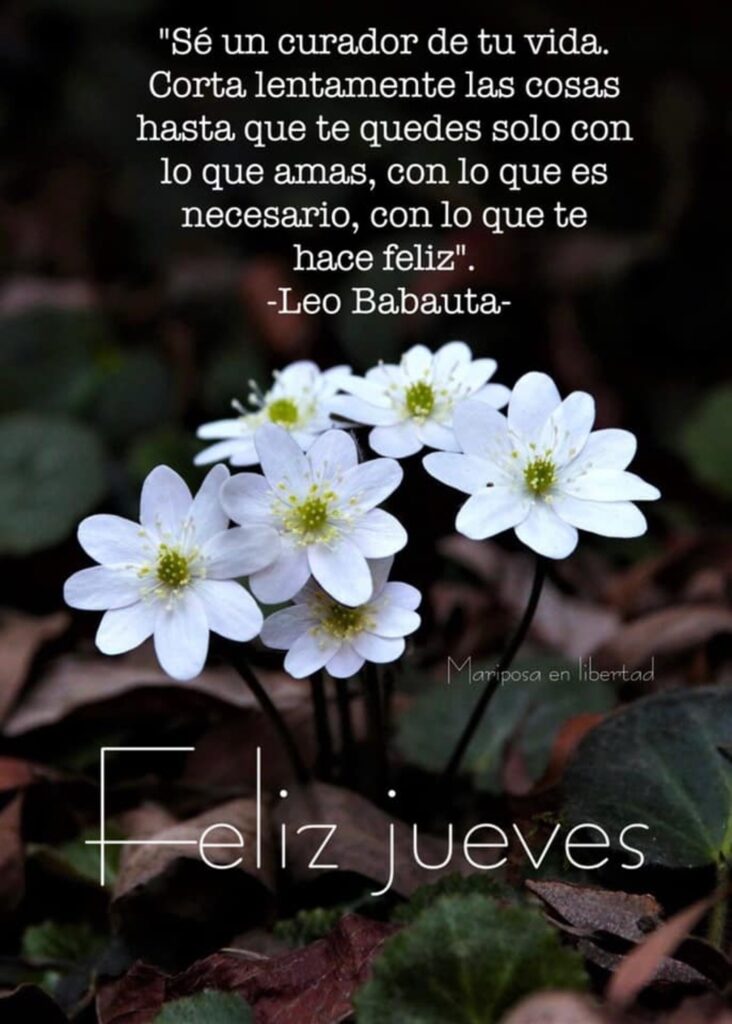 "Sé un curador de tu vida. Corta lentamente las cosas hasta que te quedes solo con lo que amas, con lo que es necesario, con lo que te hace feliz." (Leo Babauta) Feliz Jueves