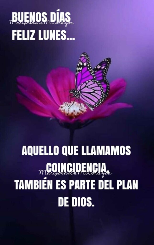 Buenos Días, feliz lunes... Aquello que llamamos coincidencia, también es parte del plan de Dios.