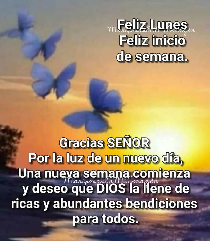 Feliz lunes. Gracias Señor por la luz de un nuevo día, una nueva semana comienza y deseo que Dios la llene de ricas y abundantes bendiciones para todos.