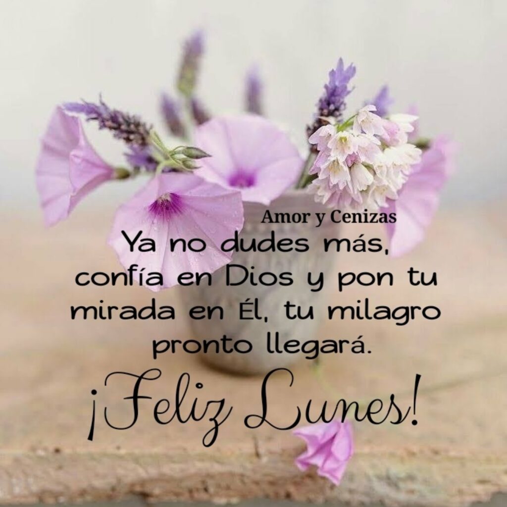 Ya no dudes más, confía en Dios y pon tu mirada en Él, tu milagro pronto llegará. ¡Feliz Lunes! (Amor y cenizas)