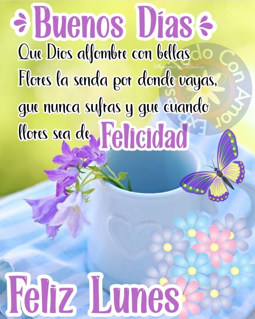 Buenos Días. Que Dios alfombre con bellas flores la senda por donde vayas, que nunca sufras y que cuando llores sea de felicidad. Feliz lunes