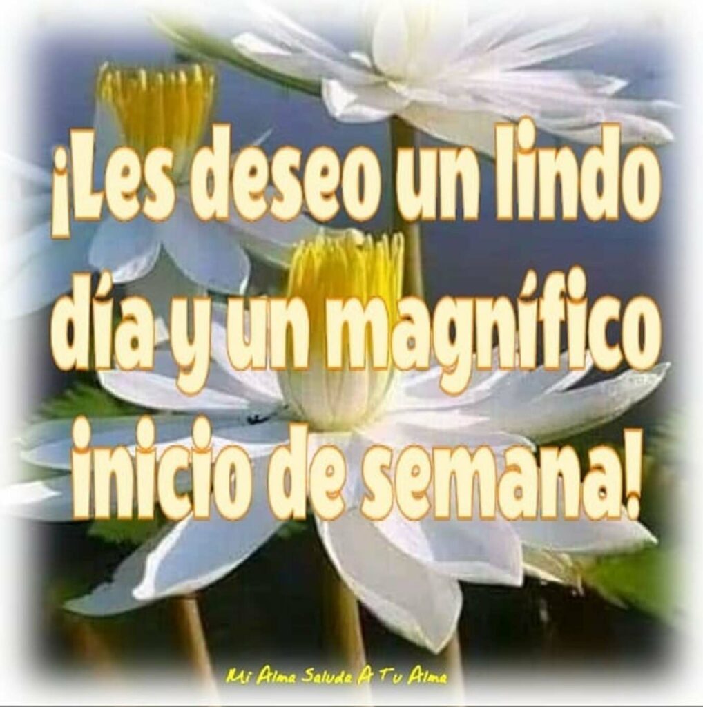 ¡Les deseo un lindo día y un magnífico inicio de semana!