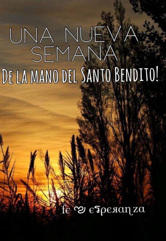 Una nueva semana de la mano del Santo Bendito!