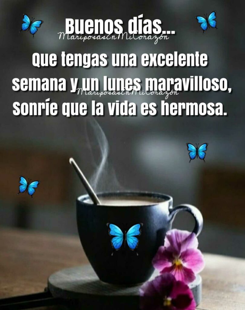 Buenos Días... Que tengas una excelente semana y un lunes maravilloso, sonríe que la vida es hermosa.