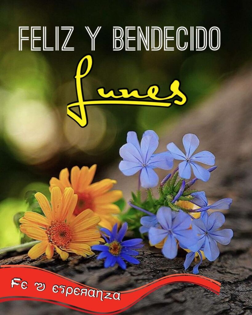 Feliz y bendecido lunes