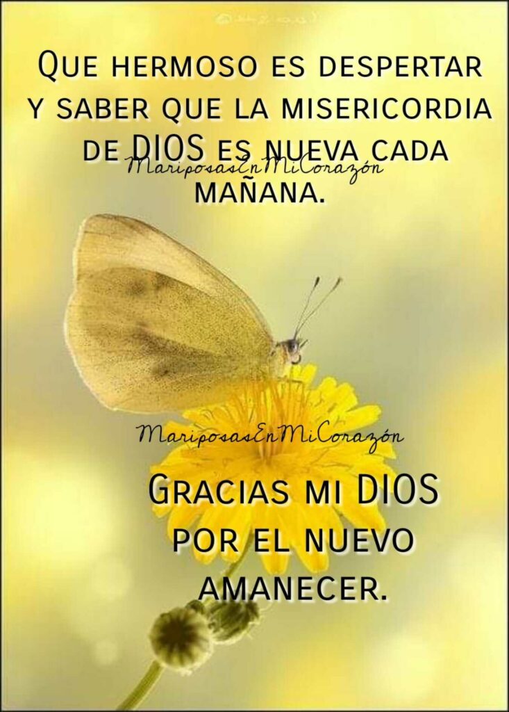 Que hermoso es despertar y saber que la misericordia de Dios es nueva cada mañana. Gracias mi Dios por el nuevo amanecer.