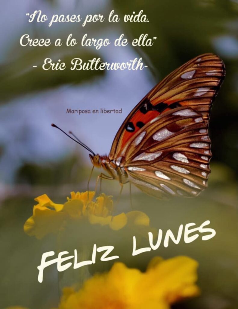 No pases por la vida. Crece a lo largo de ella. (Eric Butterworth) FELIZ LUNES