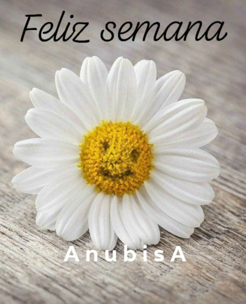 Feliz Semana (Anubisa)
