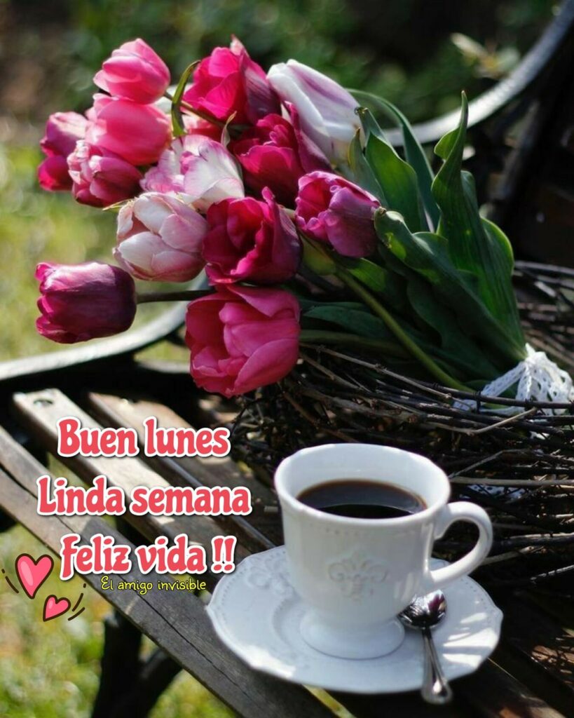 Buen lunes, linda semana, feliz vida !!