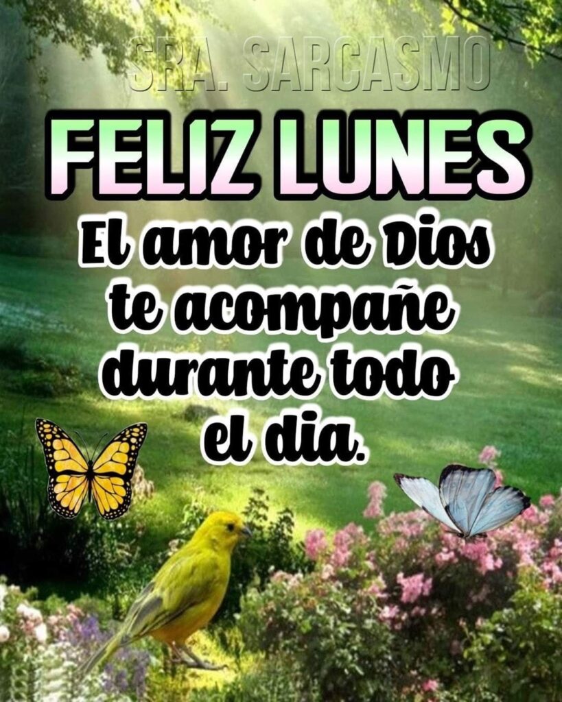 FELIZ LUNES. El amor de Dios te acompañe durante todo el día.