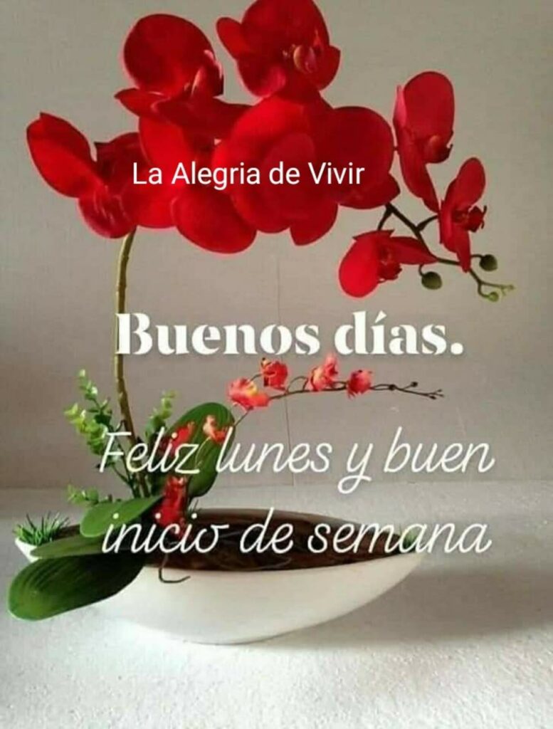 Buenos Días. Feliz lunes y buen inicio de semana