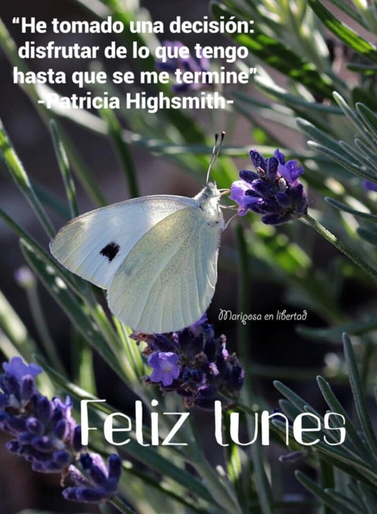 He tomado una desición: disfrutar de lo que tengo hasta que se me termine. (Patricia Highsmith) FELIZ LUNES