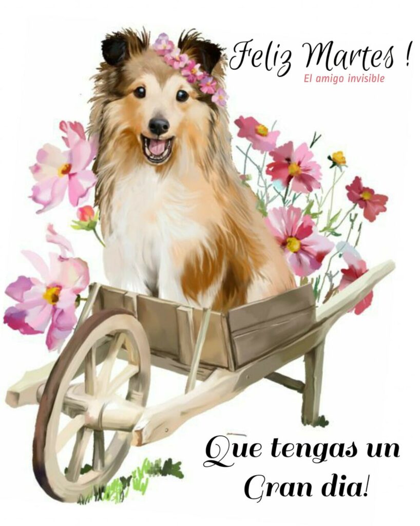 Feliz Martes ! Que tengas un gran dia!