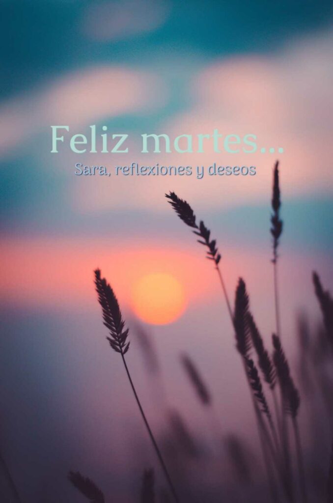 Feliz Martes (Sara, reflexiones y deseos)