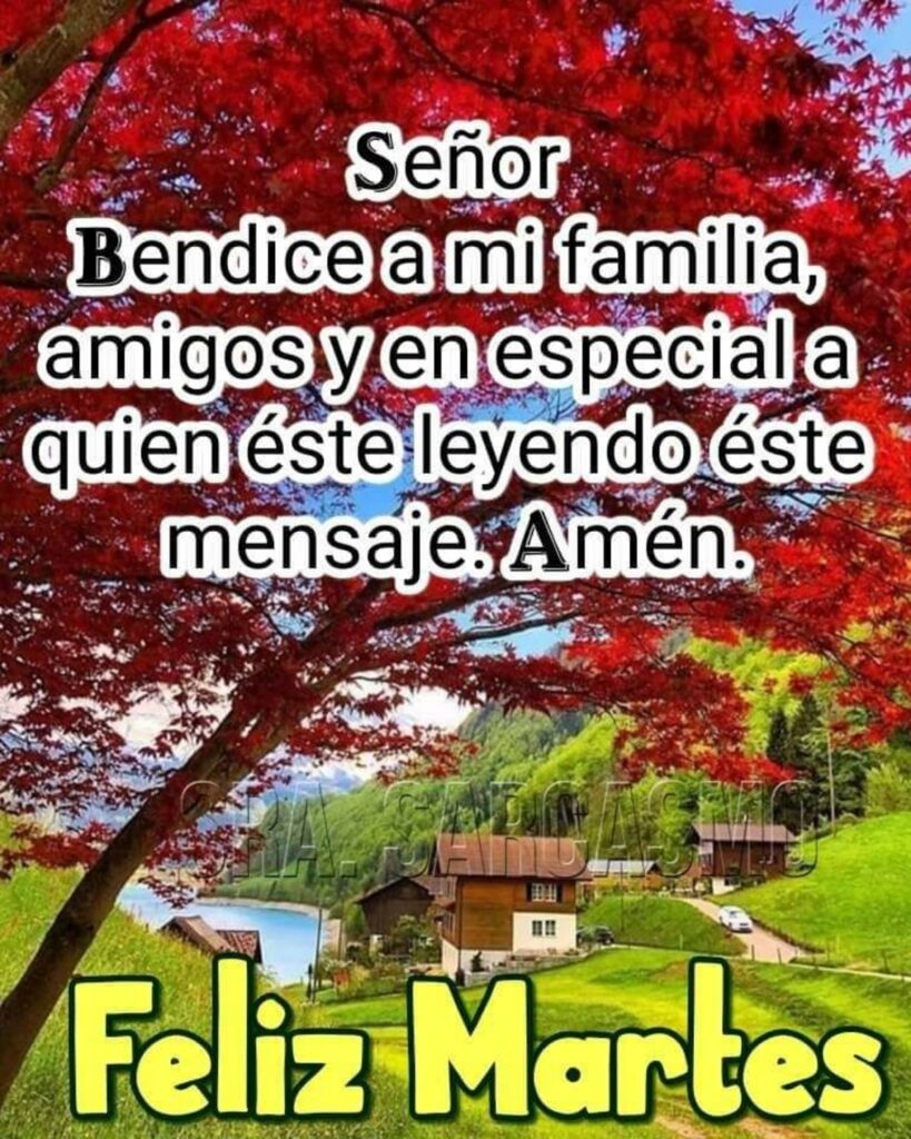 Señor, bendice a mi familia, amigos y en especial a quien éste leyendo éste mensaje. Amén. Feliz Martes