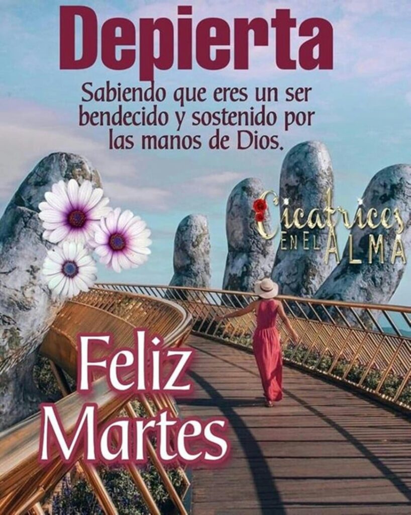 Depierta sabiendo que eres un ser bendecido y sostenido por las manos de Dios. Feliz Martes