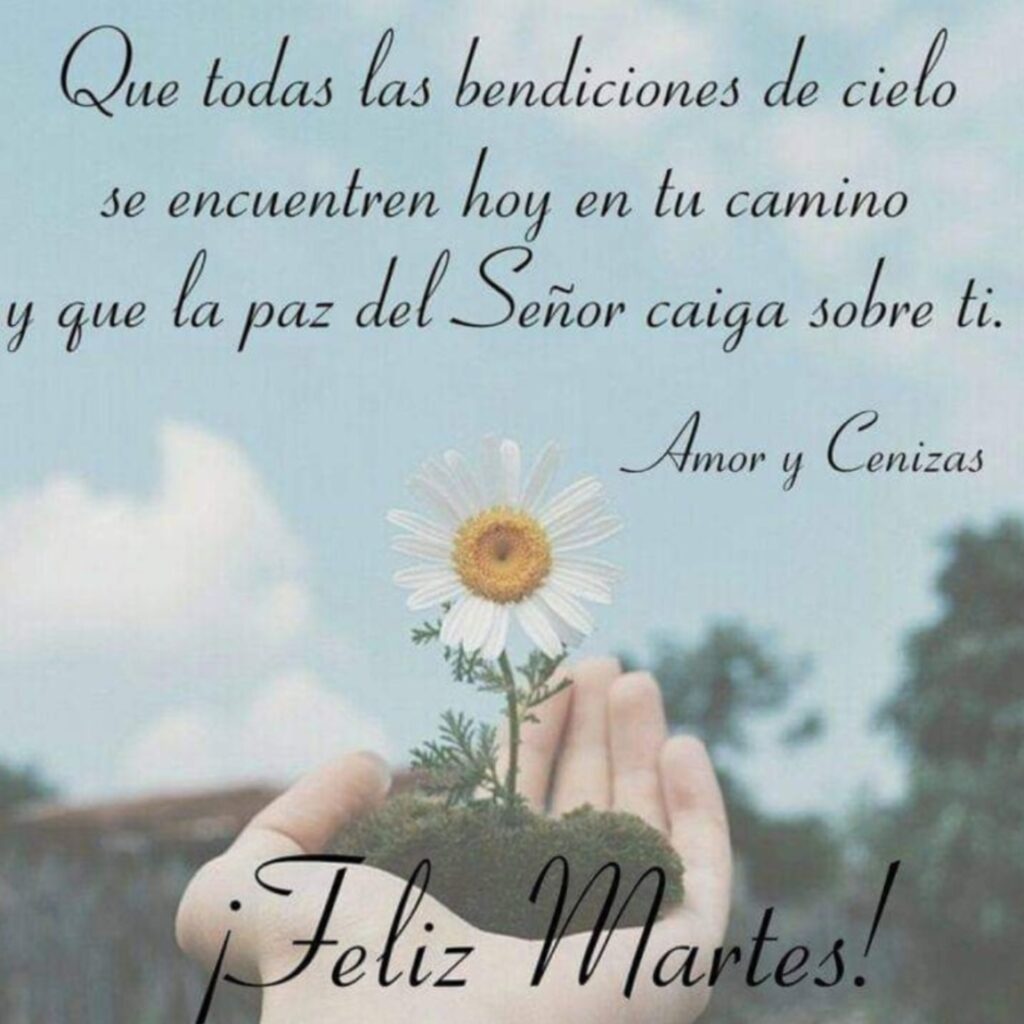 Que todas las bendiciones de cielo se encuentres hoy en tu camino y que la paz del Señor caiga sobre ti. ¡Feliz Martes!