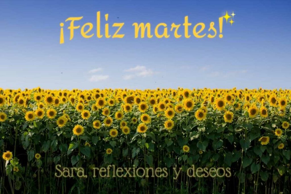 ¡Feliz martes!