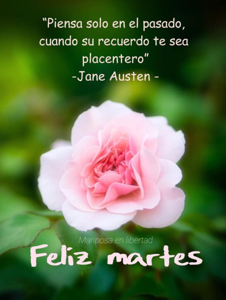 "Piensa solo en el pasado, cuando su recuerdo te sea placentero." (Jane Austen) Feliz martes