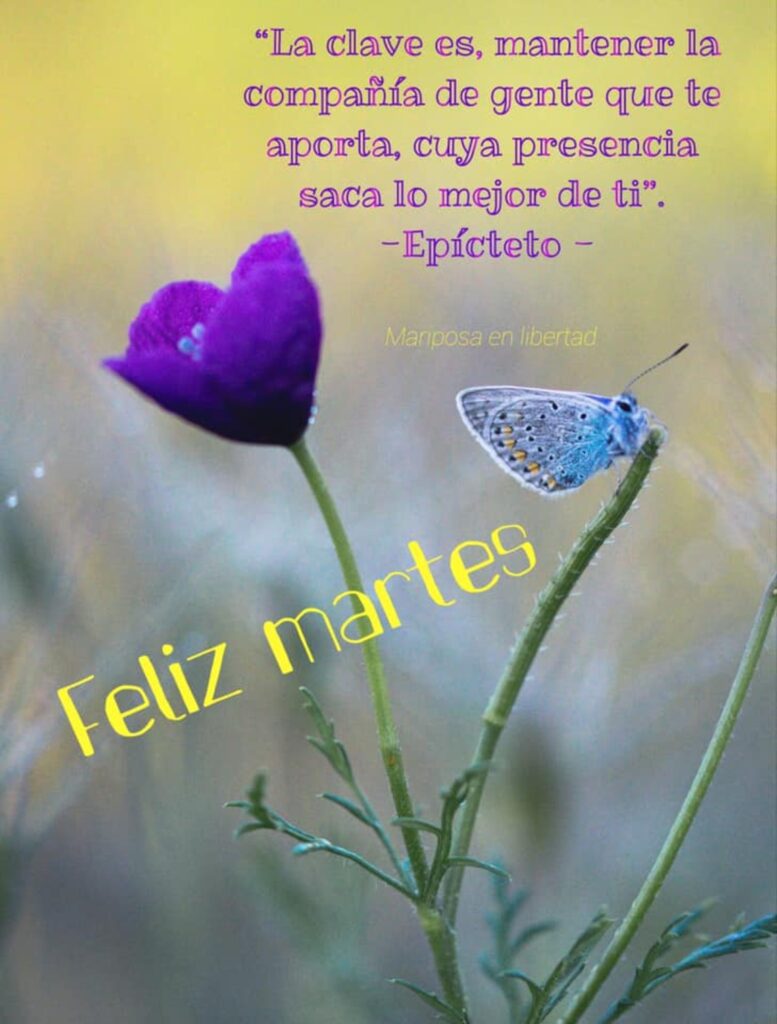 La clave es mantener la compañía de gente que te aporta, cuya presencia saca lo mejor de ti. (Epícteto) Feliz Martes