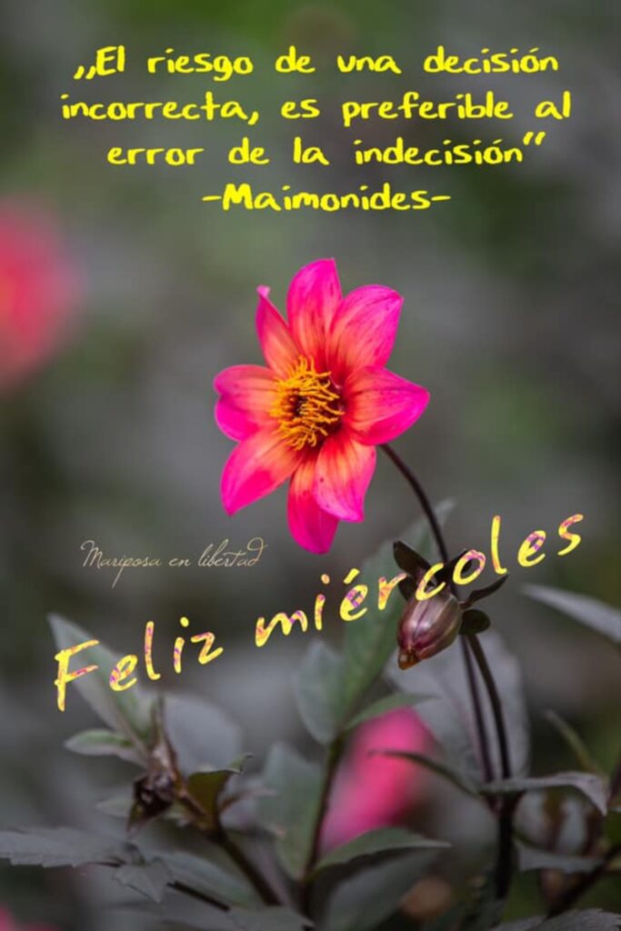 "El riesgo de una decisión incorrecta, es preferible al error de la indecisión." (Maimonides) Feliz Miércoles