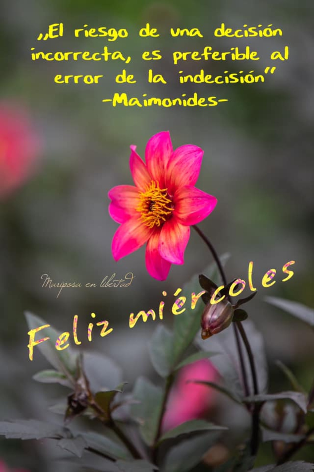 Bendecido Miercoles 91 - 8wzqede