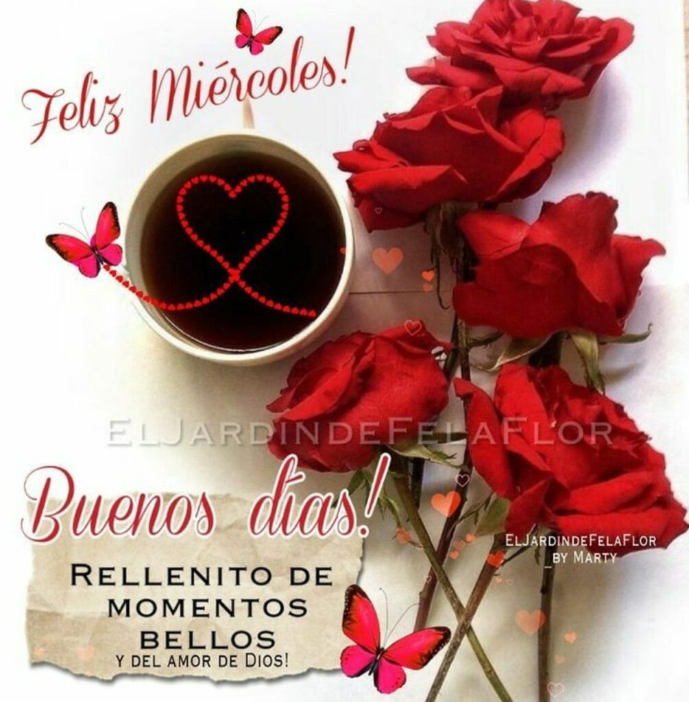 Feliz Miércoles! Buenos Días! Rellenito de momentos bellos y del amor de Dios!