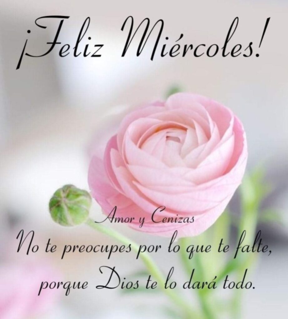 ¡Feliz Miércoles! No te preocupes por lo que te falte, porque Dios te lo dará todo.