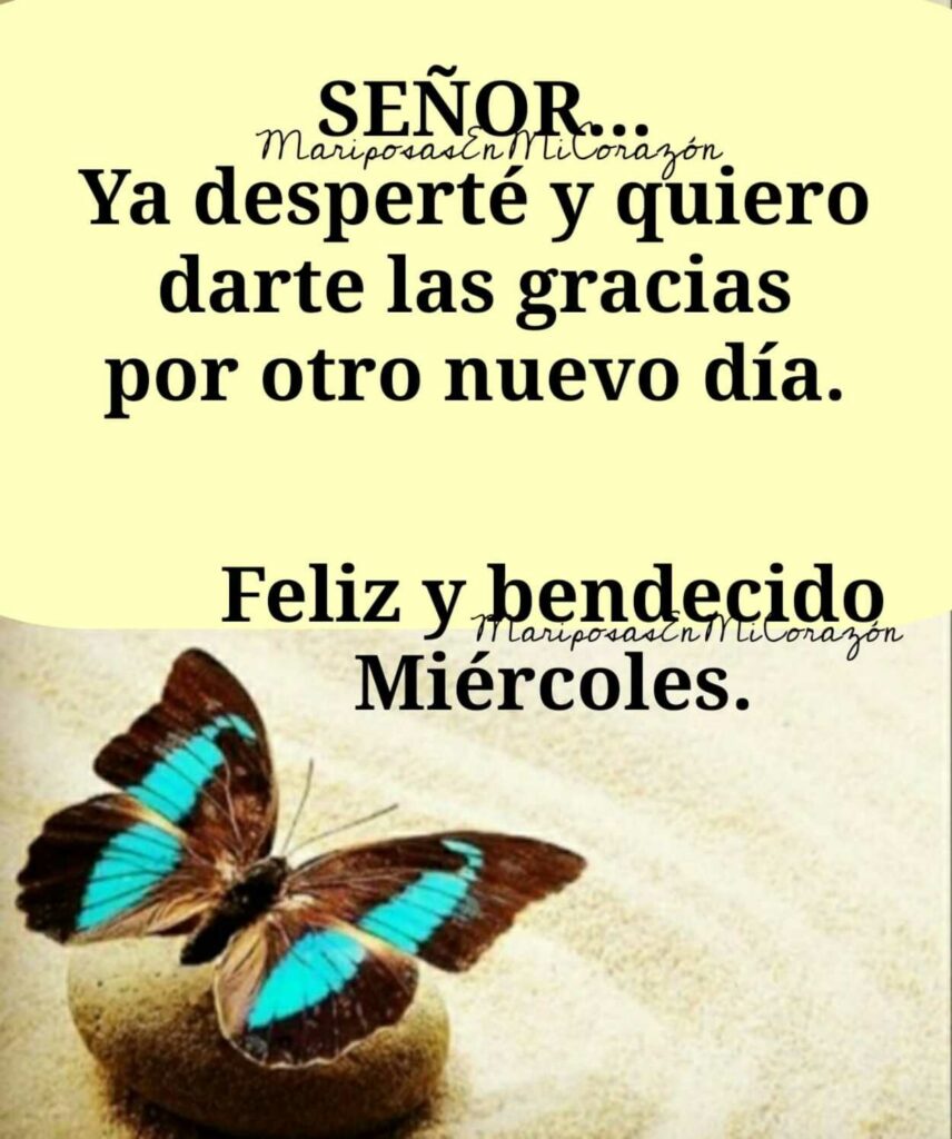 Señor... Ya desperté y quiero darte las gracias por otro nuevo día. Feliz y bendecido Miércoles.