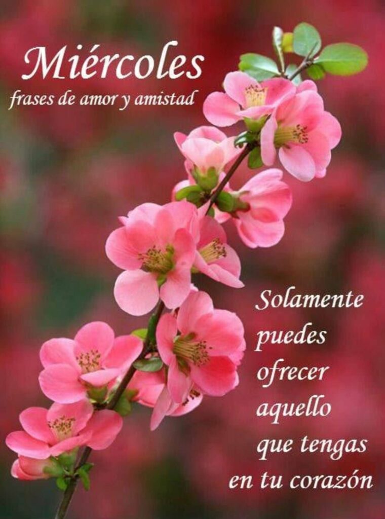 Miércoles. Solamente puedes ofrecer aquello que tengas en tu corazón (frases de amor y amistad)