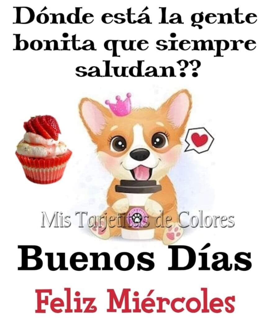 Dónde está la gente bonita que siempre saludan?? Buenos Días Feliz Miércoles