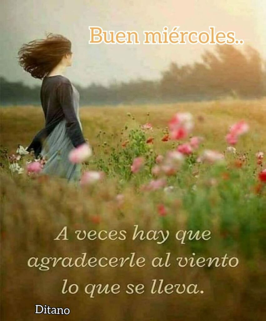 Buen miércoles... A veces hay qur agradecerle al viento lo que se lleva. (Ditano)