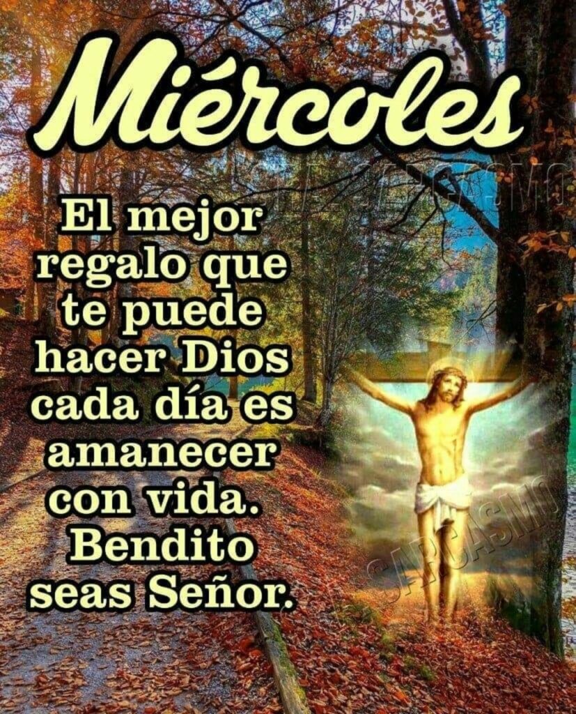 Miércoles: el mejor regalo que te puede hacer Dios cada día es amanecer con vida. Bendito seas Señor.