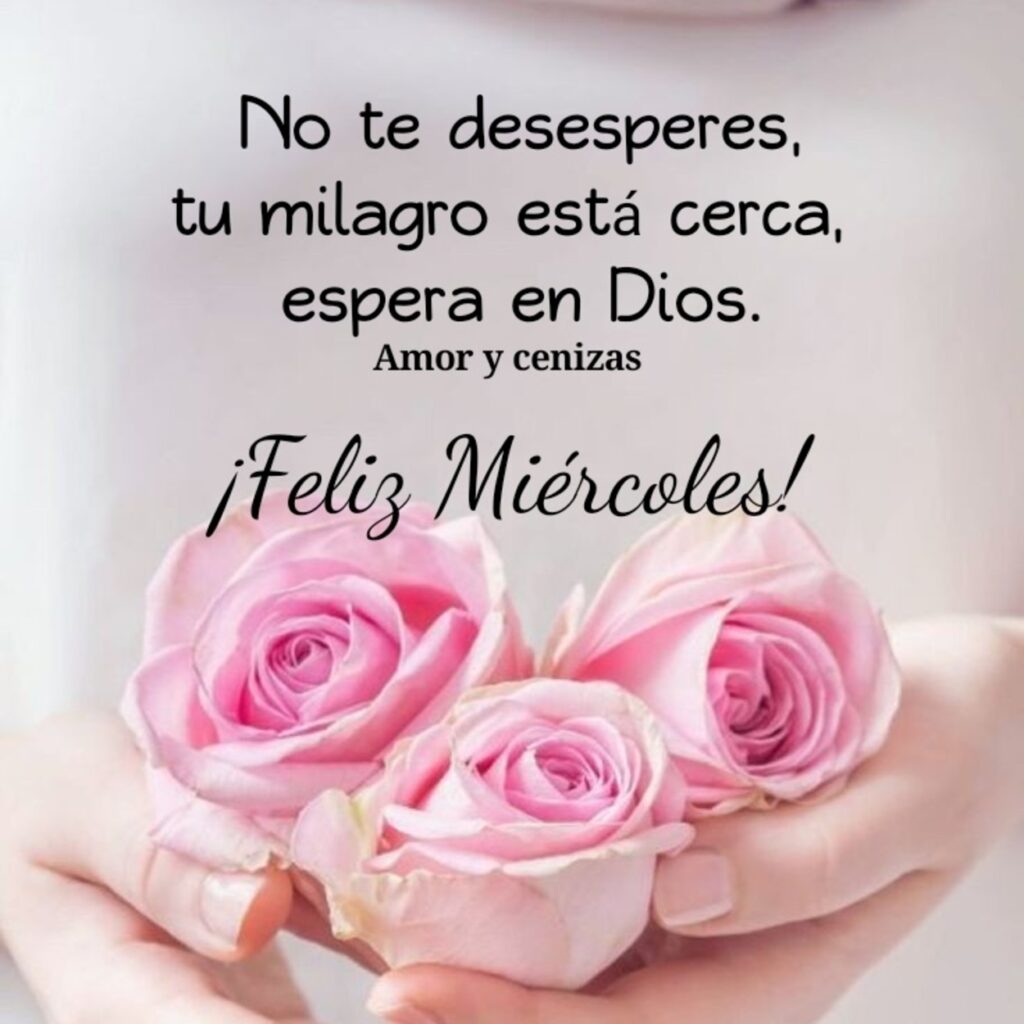 No te desesperes, tu milagro está cerca, espera en Dios. ¡Feliz Miércoles!