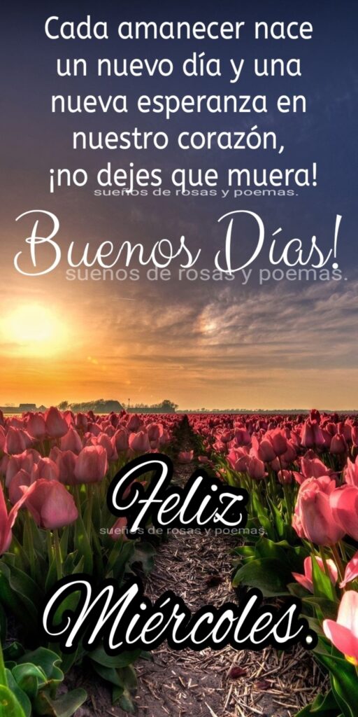 Cada amanecer nace un nuevo día y una nueva esperanza en nuestro corazón, ¡no dejes que muera! Buenos Días! Feliz Miércoles