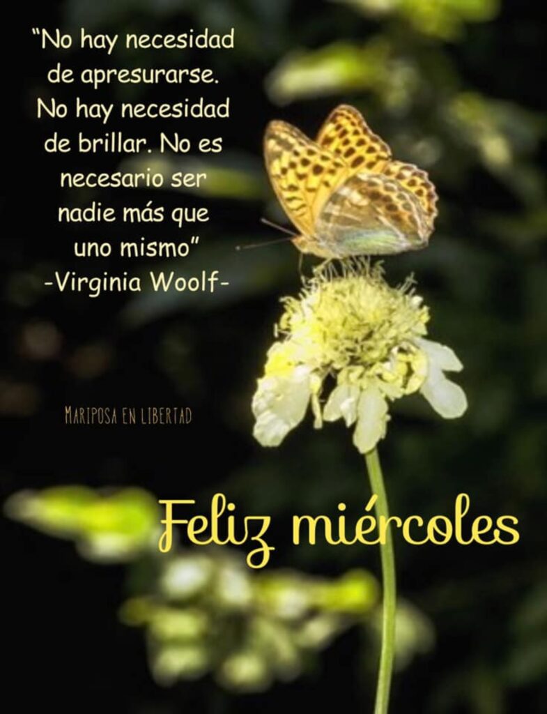 Feliz Miércoles frases bellas para enviar a tus amig@s