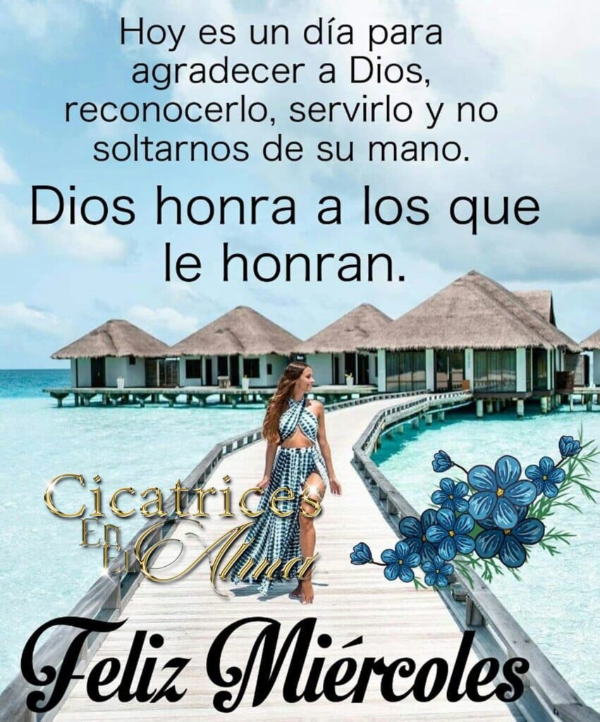 Hoy es un día para agradecer a Dios, reconocerlo, servirlo y no soltarnos de su mano. Dios honra a los que le honran. Feliz Miércoles (Cicatrices el el alma)