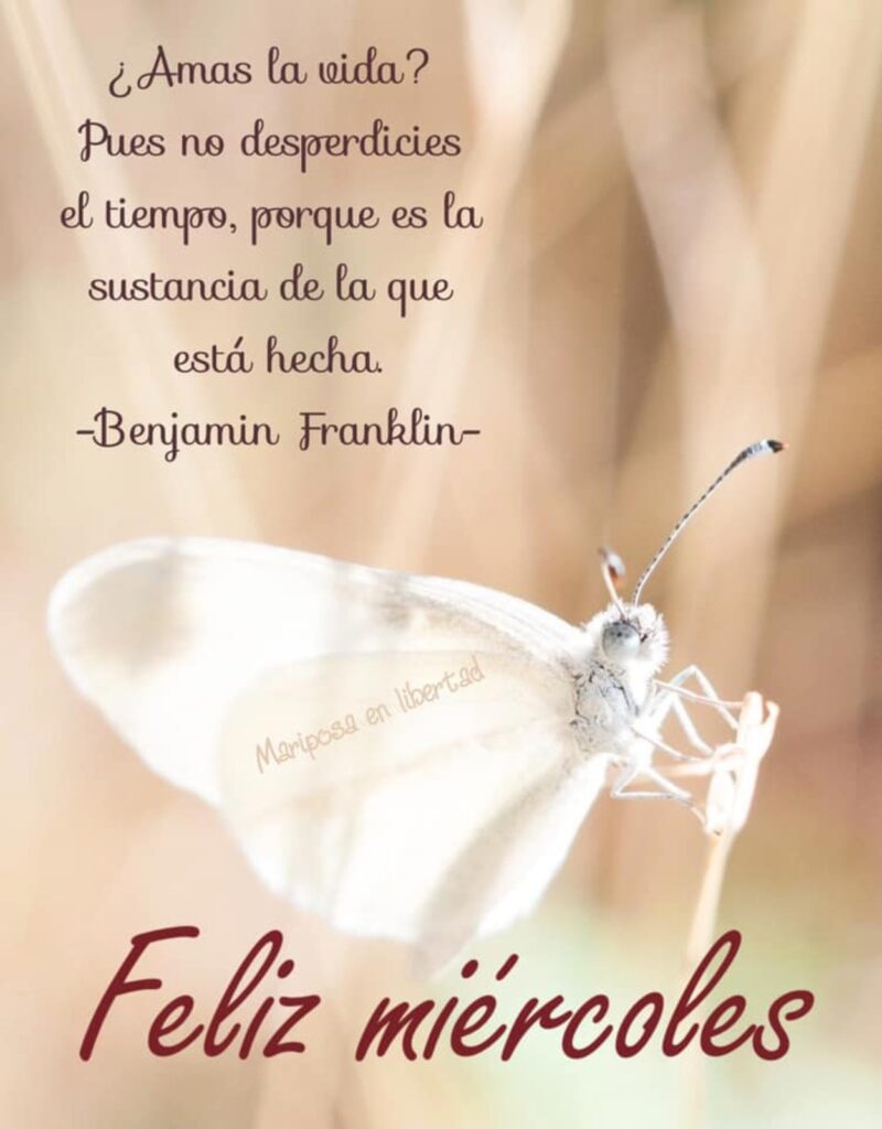 ¿Amas la vida? Pues no desperdicies el tiempo, porque es la sustacia de la que está hecha. (Benjamin Franklin) Feliz Miércoles