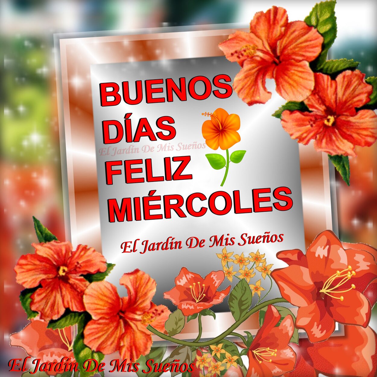 46+ Feliz y Bendecido Miércoles imágenes - ImagenesMuyBonitas.net