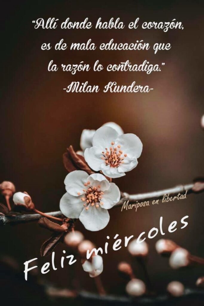 "Allí donde habla el corazón, es de mala educaioón que la razón lo contradiga." (Milan Kundera) Feliz miércoles