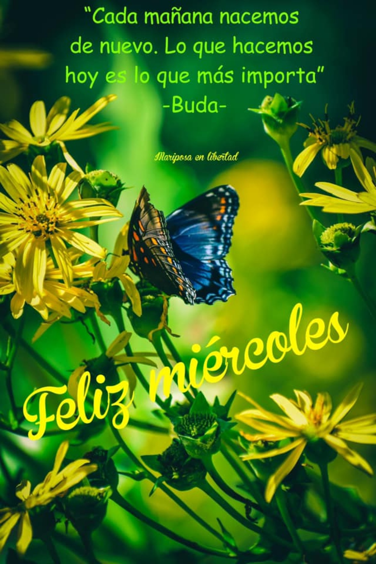 Bendecido Miercoles 91 - 5x4xexz