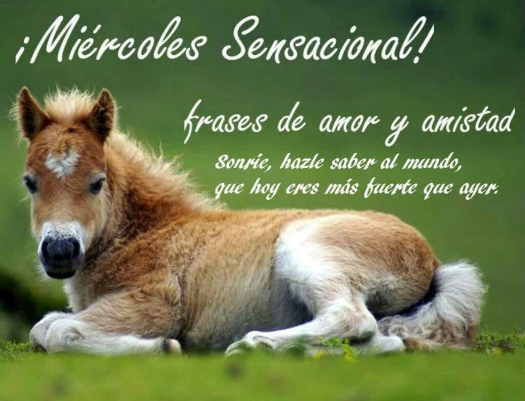 ¡Miércoles Sensacional! Sonríe, hazle saber al mundo, que hoy eres más fuerte que ayer.