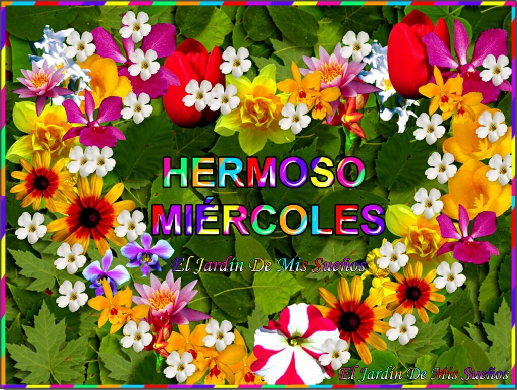 HERMOSO MIÉRCOLES
