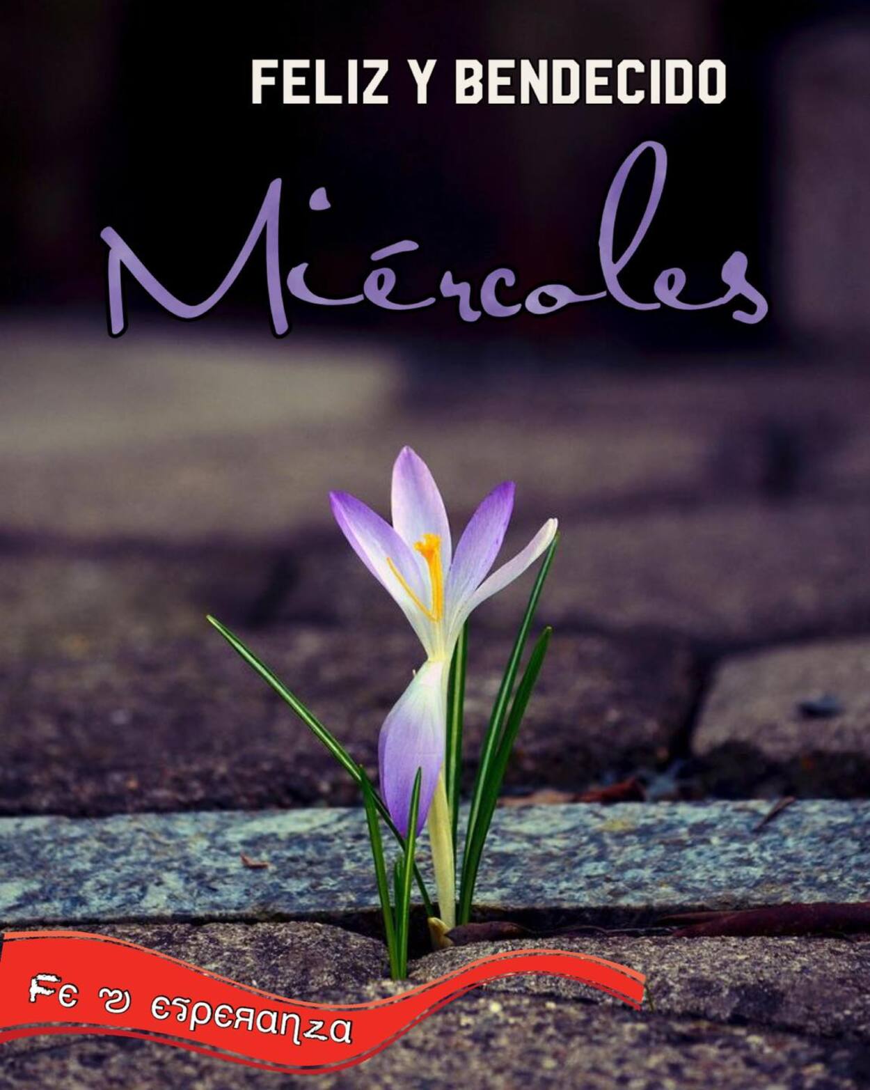 Bendecido Miercoles 91 - 9lahg2z