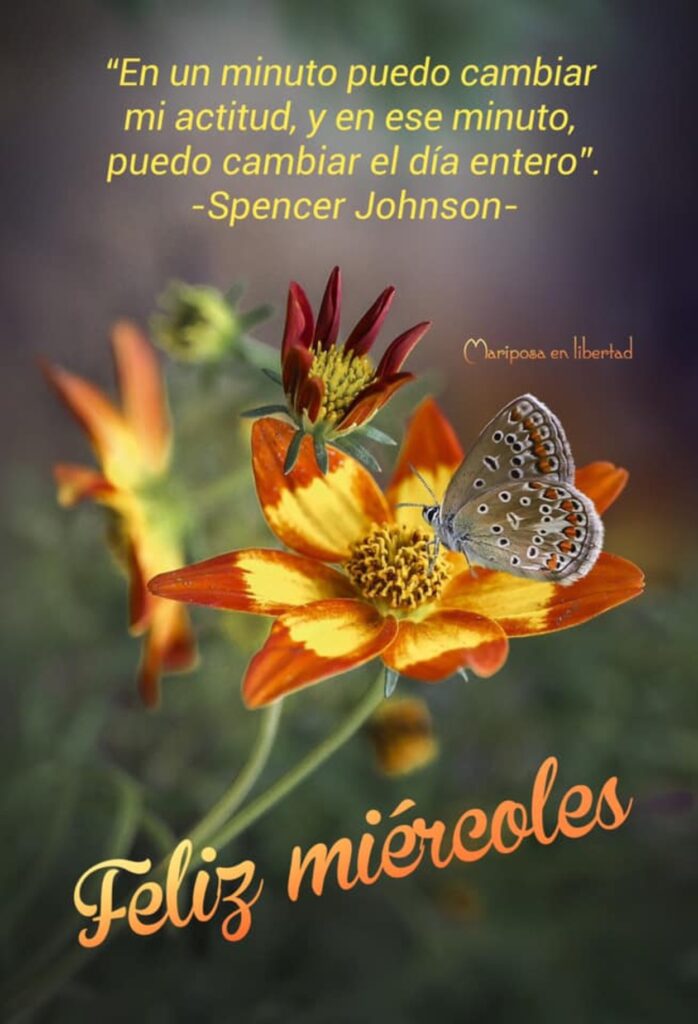 "En un minuto puedo cambiar mi actitud, y en ese minuto puedo cambiar el día entero." (Spencer Johnson) Feliz miércoles