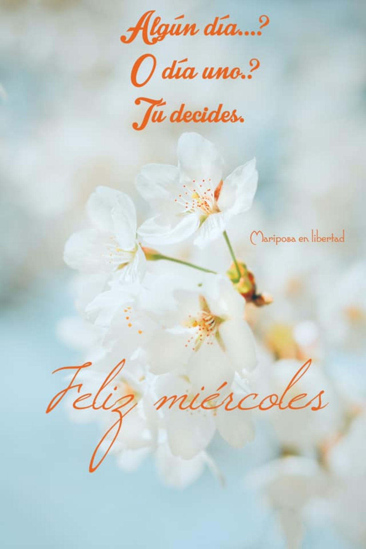 Bendecido Miercoles 91 - x82y7i5