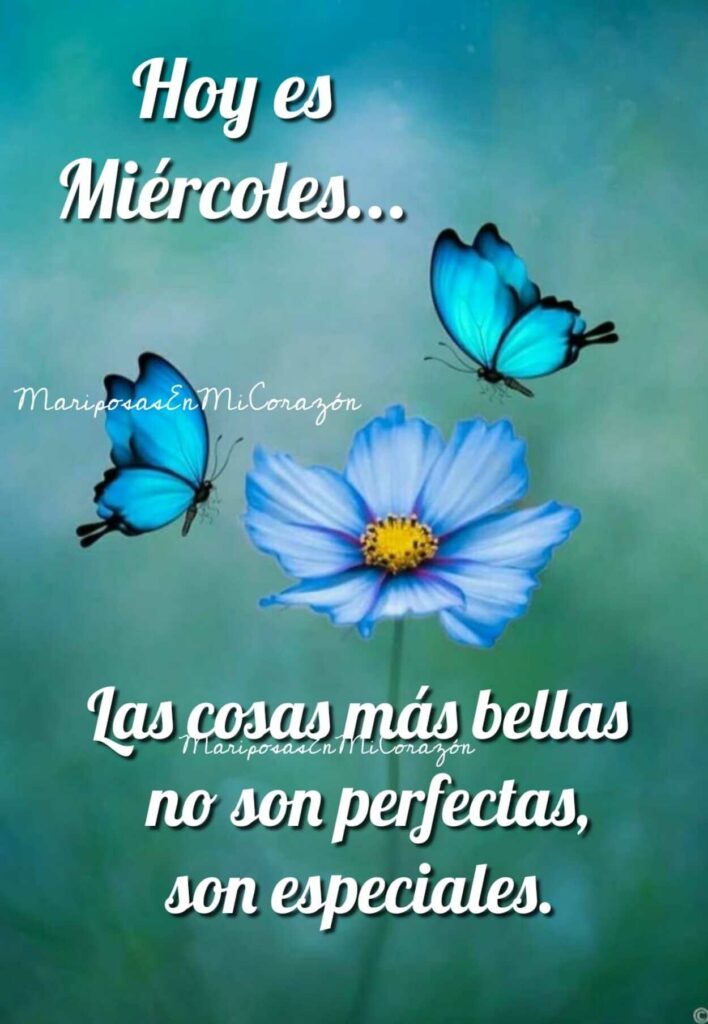 Hoy es Miércoles... Las cosas más bellas no son perfectas, son especiales.